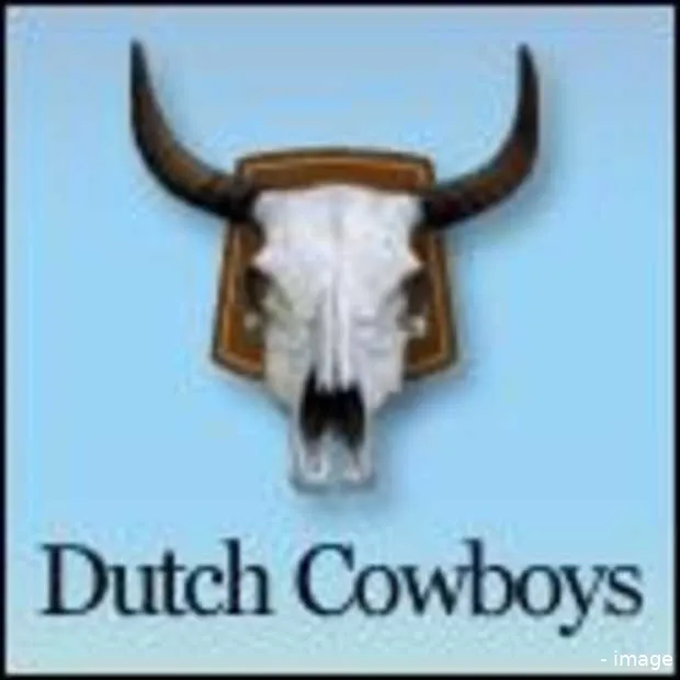 wil jij schrijven bij dutchcowboys