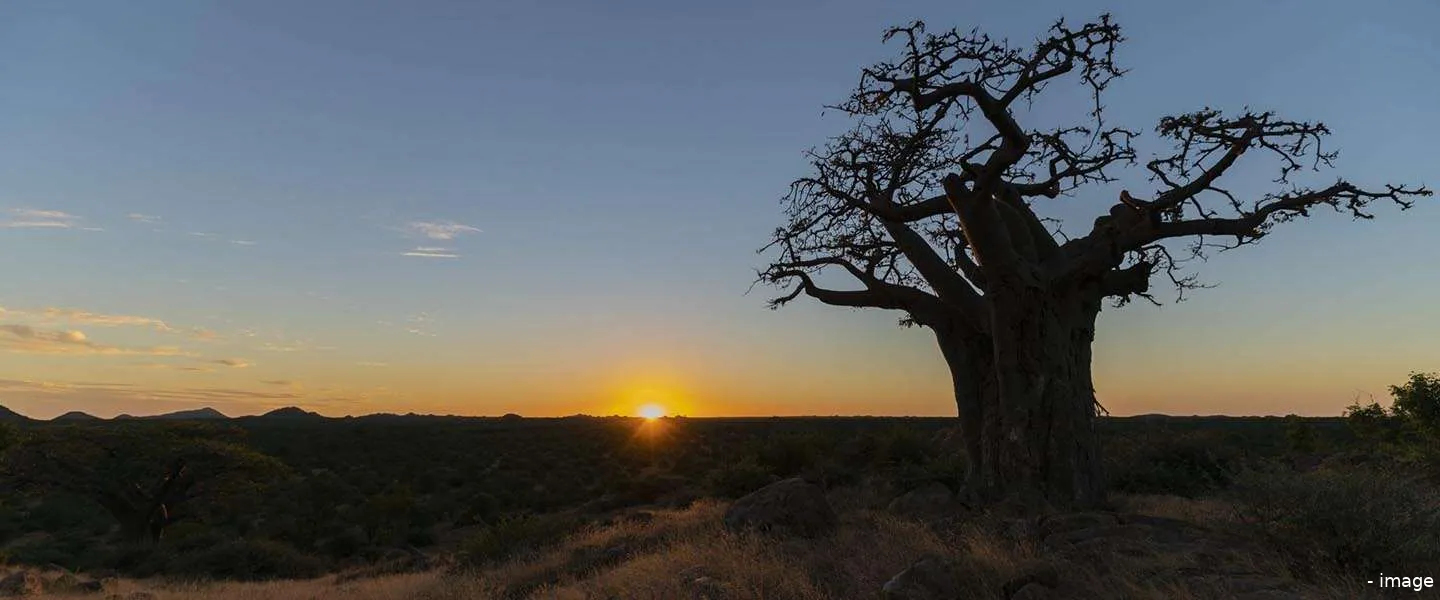 wildlife park botswana