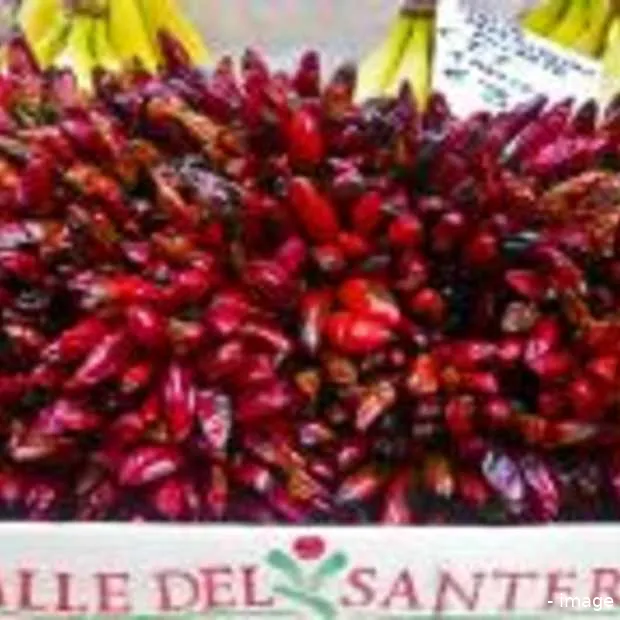 win 25 000 met zelf gepubliceerd fotoboe