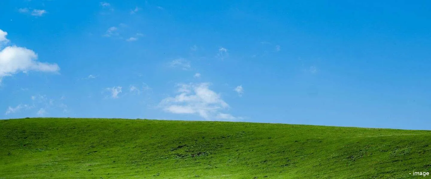 windows xp