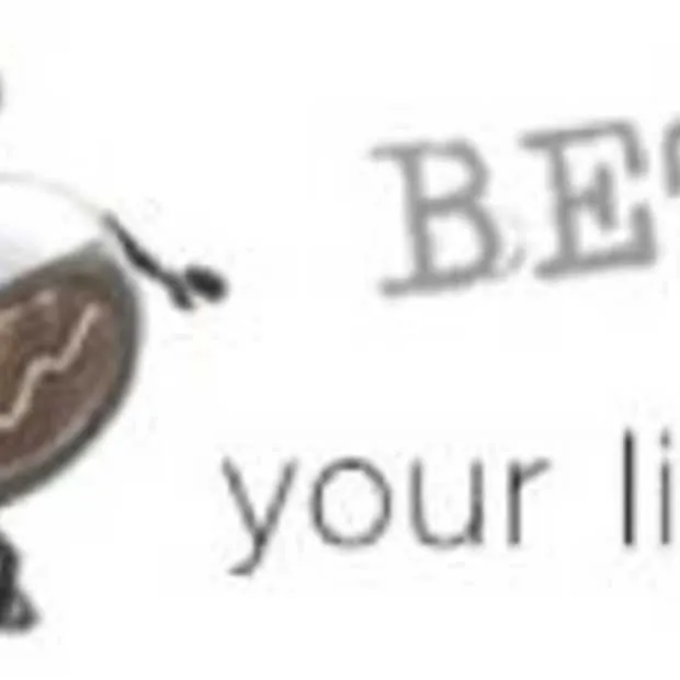 wiseline gaat hyves veroveren