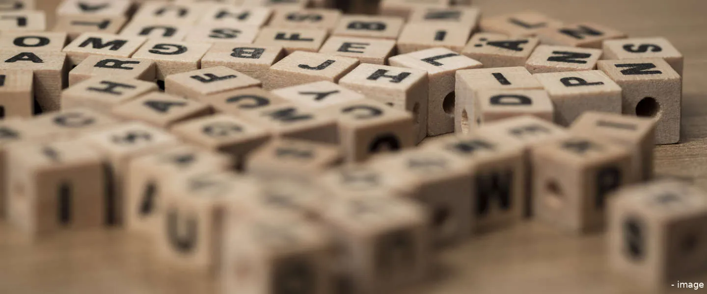 woord van het jaar 2016