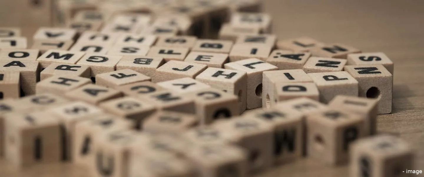 woord van het jaar 2017