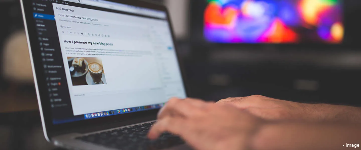 wordpress voor startups