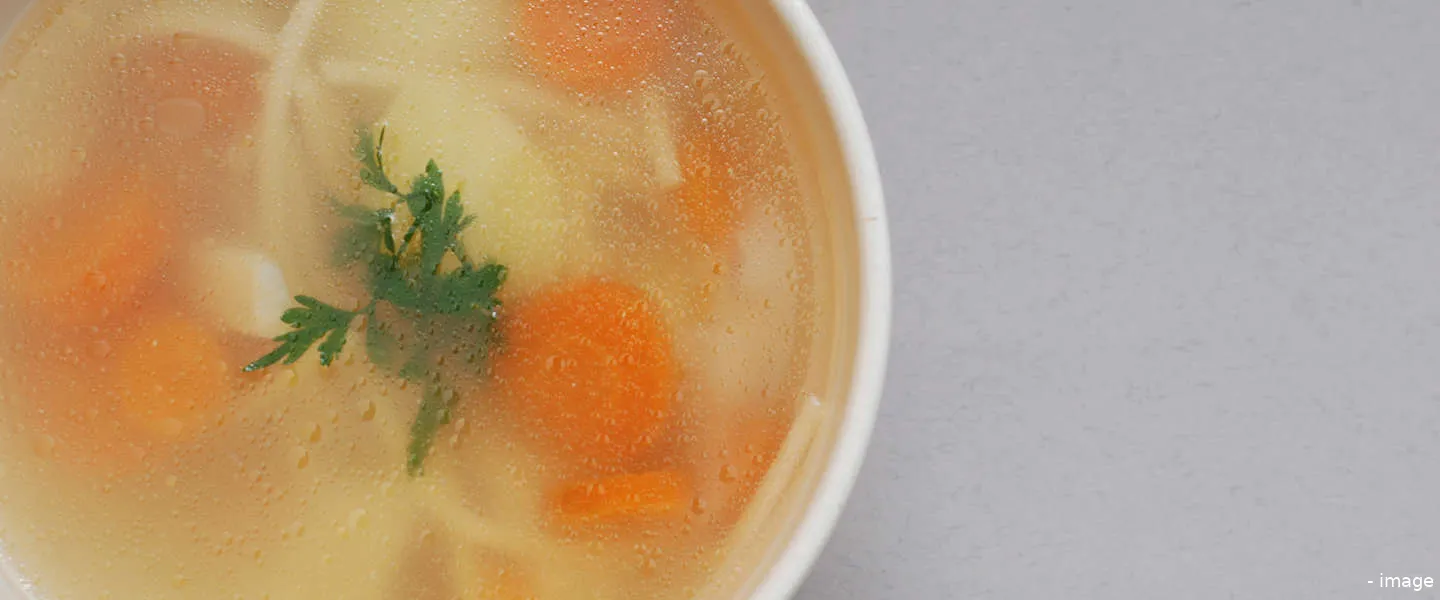 zelf kippensoep maken