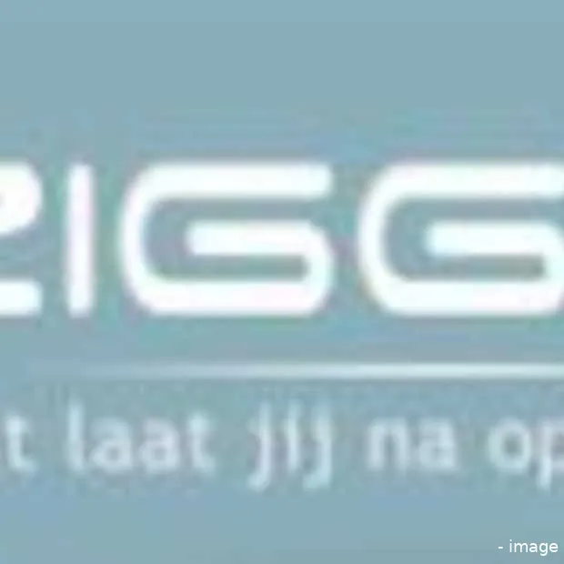 ziggur digitaal voortleven na de dood