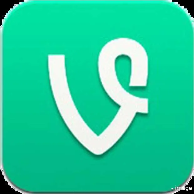 zijn organisaties klaar voor vine