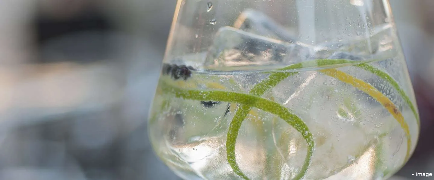 zo drink je gin tonic