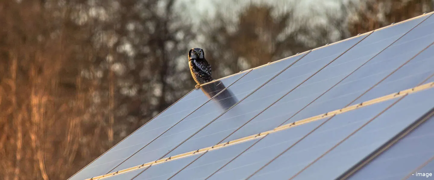 zonnepanelen vandebron