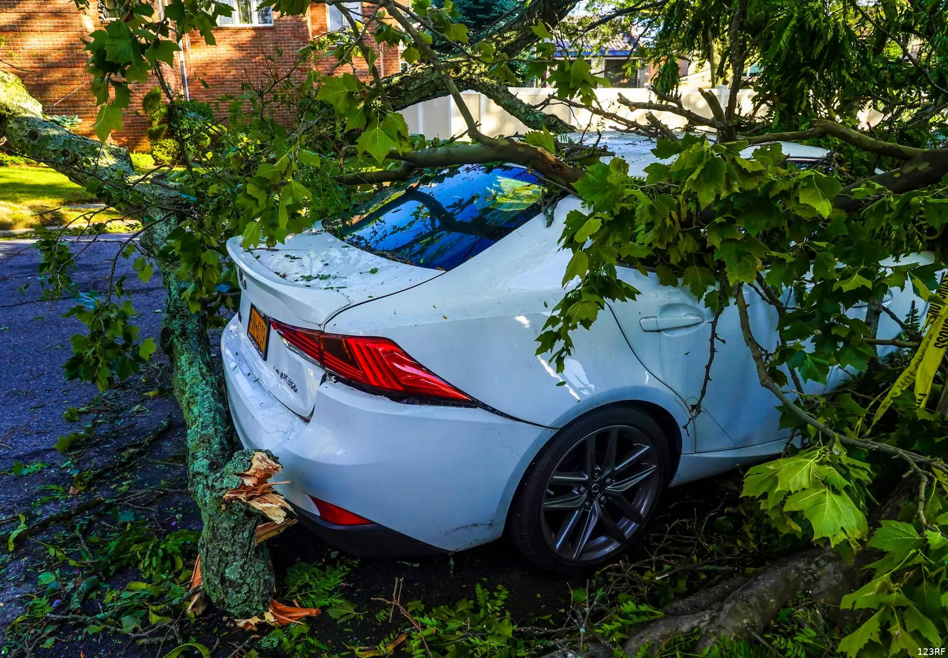 Vallende bomen beschadigde elektriciteitslijnen, trottoirs en auto in de nasleep van zwaar weer