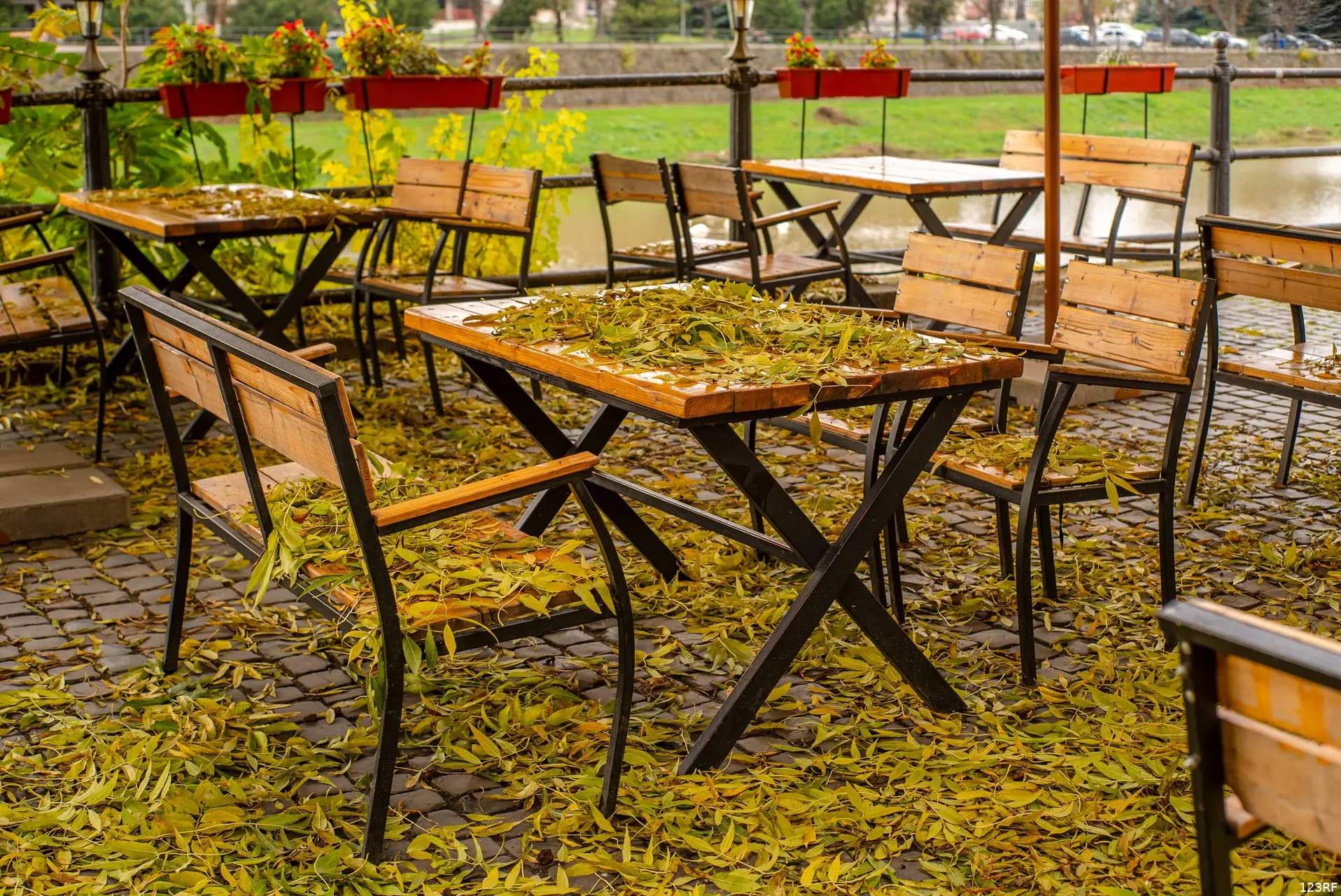 het terras van het café is bedekt met bladeren.