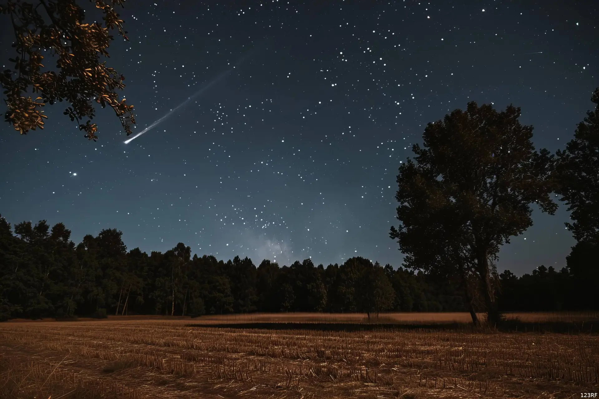 Een vallende ster trekt een lichtstreep over een donkere sterrenhemel boven een vlak landschap.