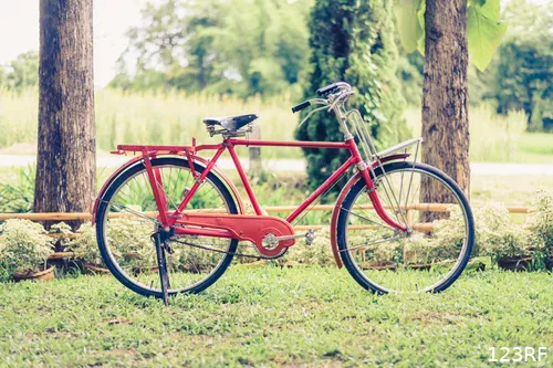 102681075 l normal none