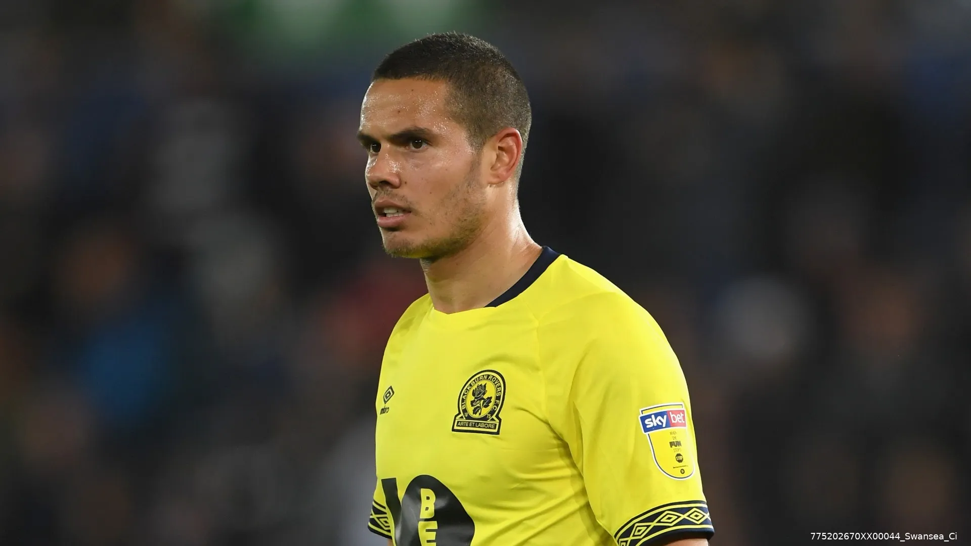 jack rodwell