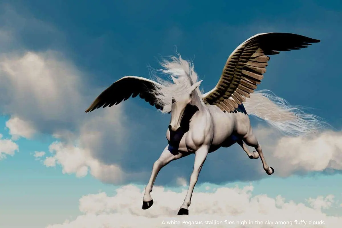pegasus b