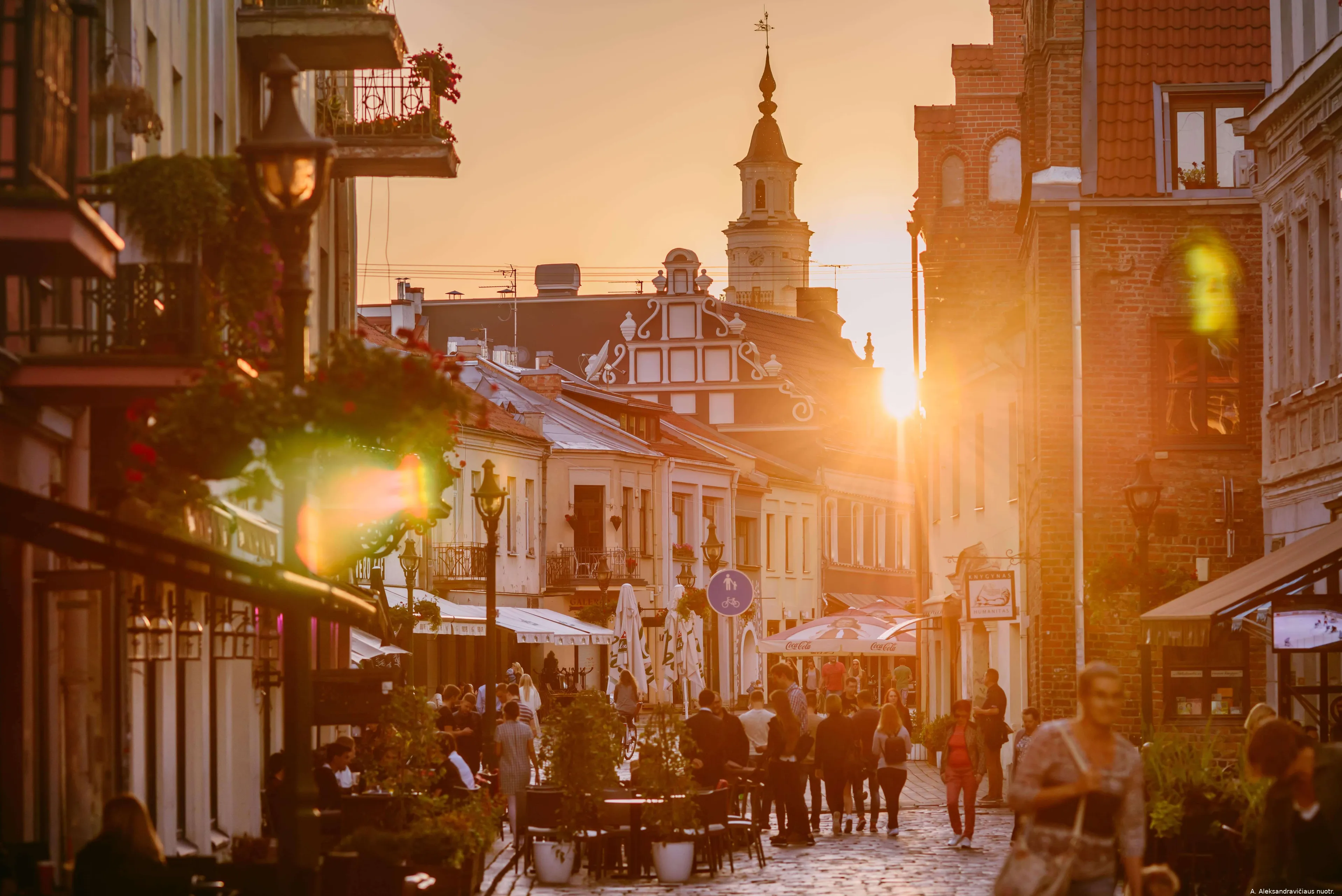 1 a aleksandravicius 6 min