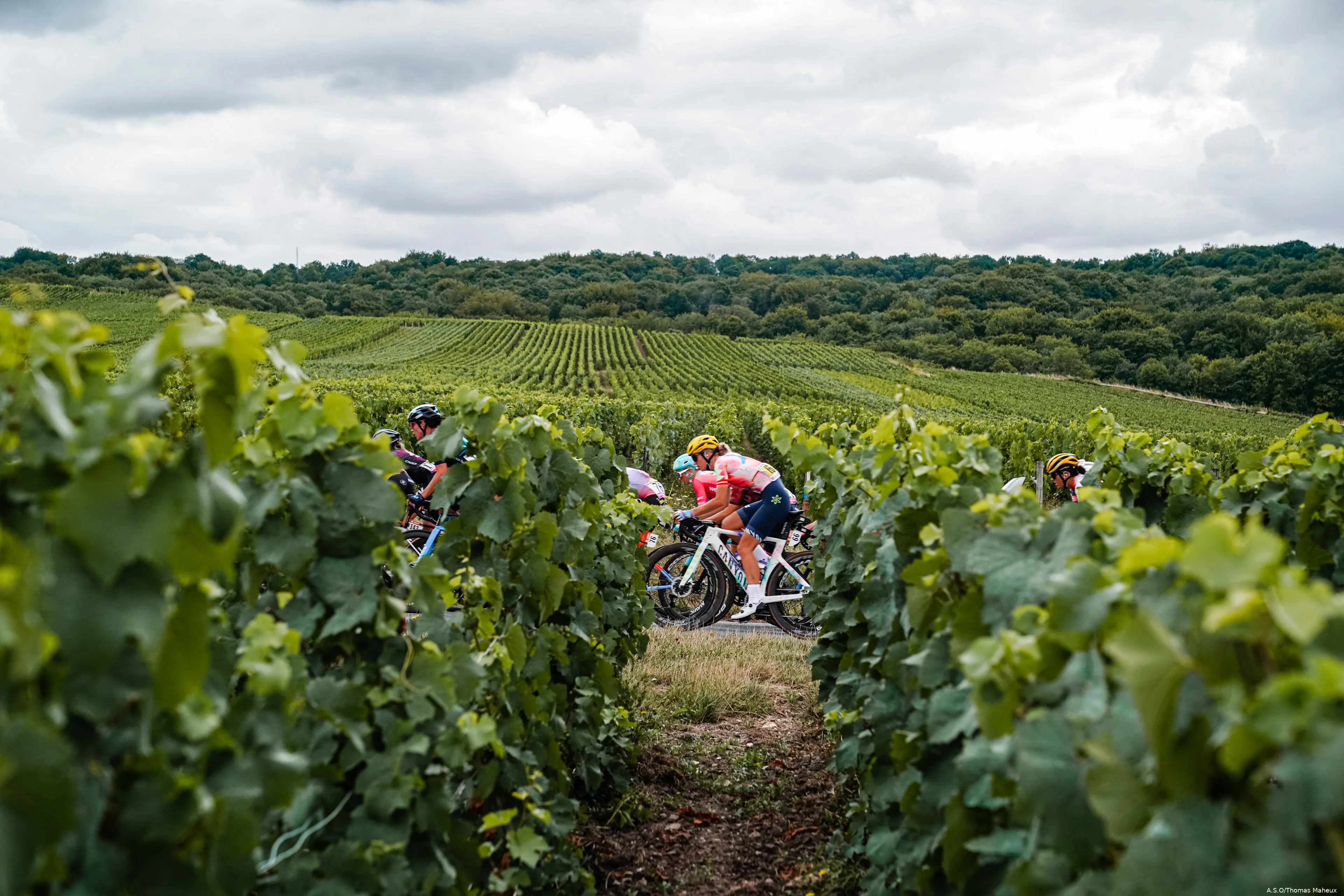 Peloton vrouwen Tour de France Femmes