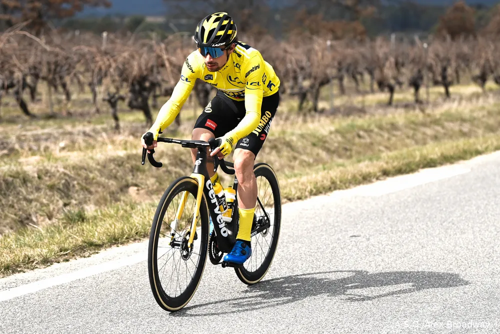 primoz roglic