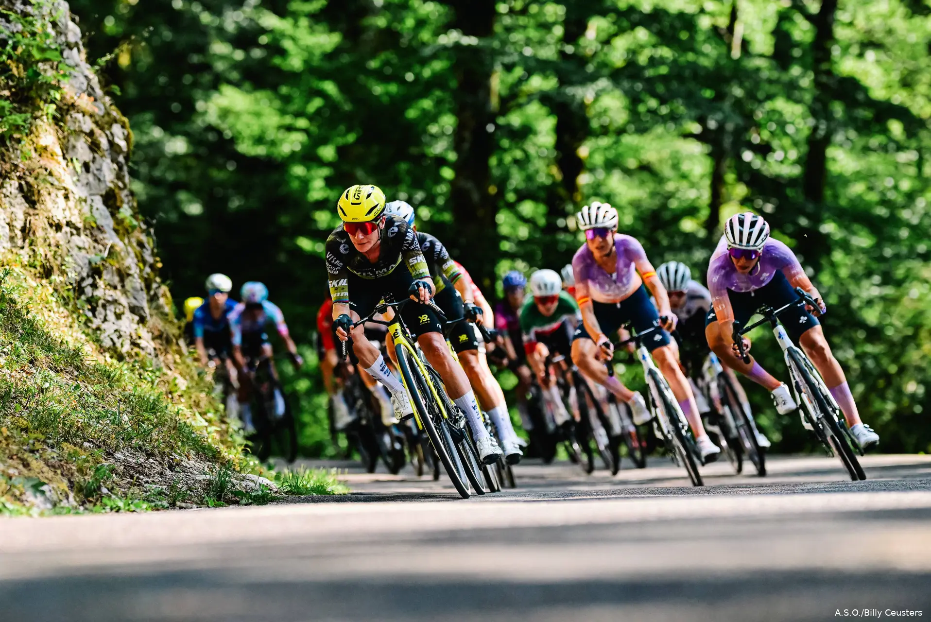 Marianne-Vos