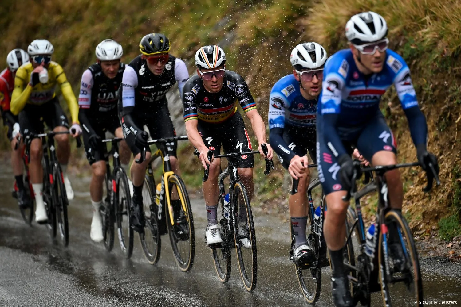 vervaeke van wilde evenepoel