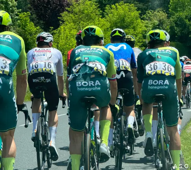 primoz roglic