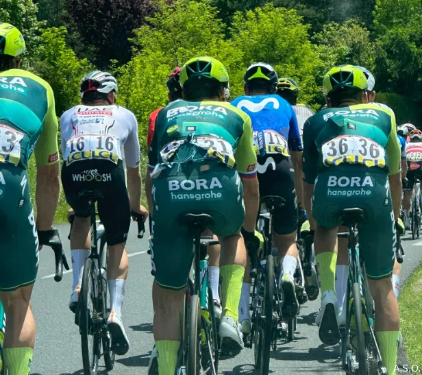 primoz roglic