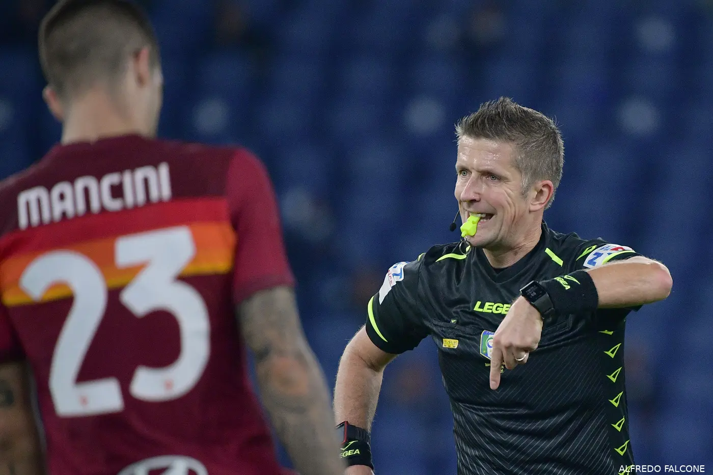 11957386 small