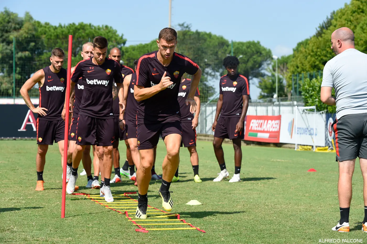 lp 8424336