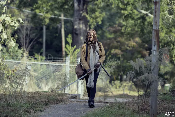 the walking deadf1624612250