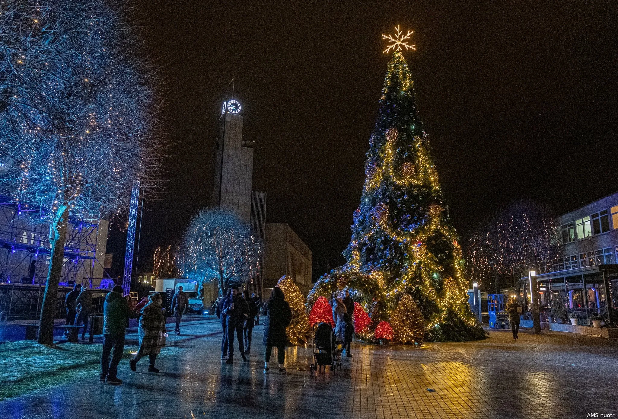 alytaus m egle ams nuot