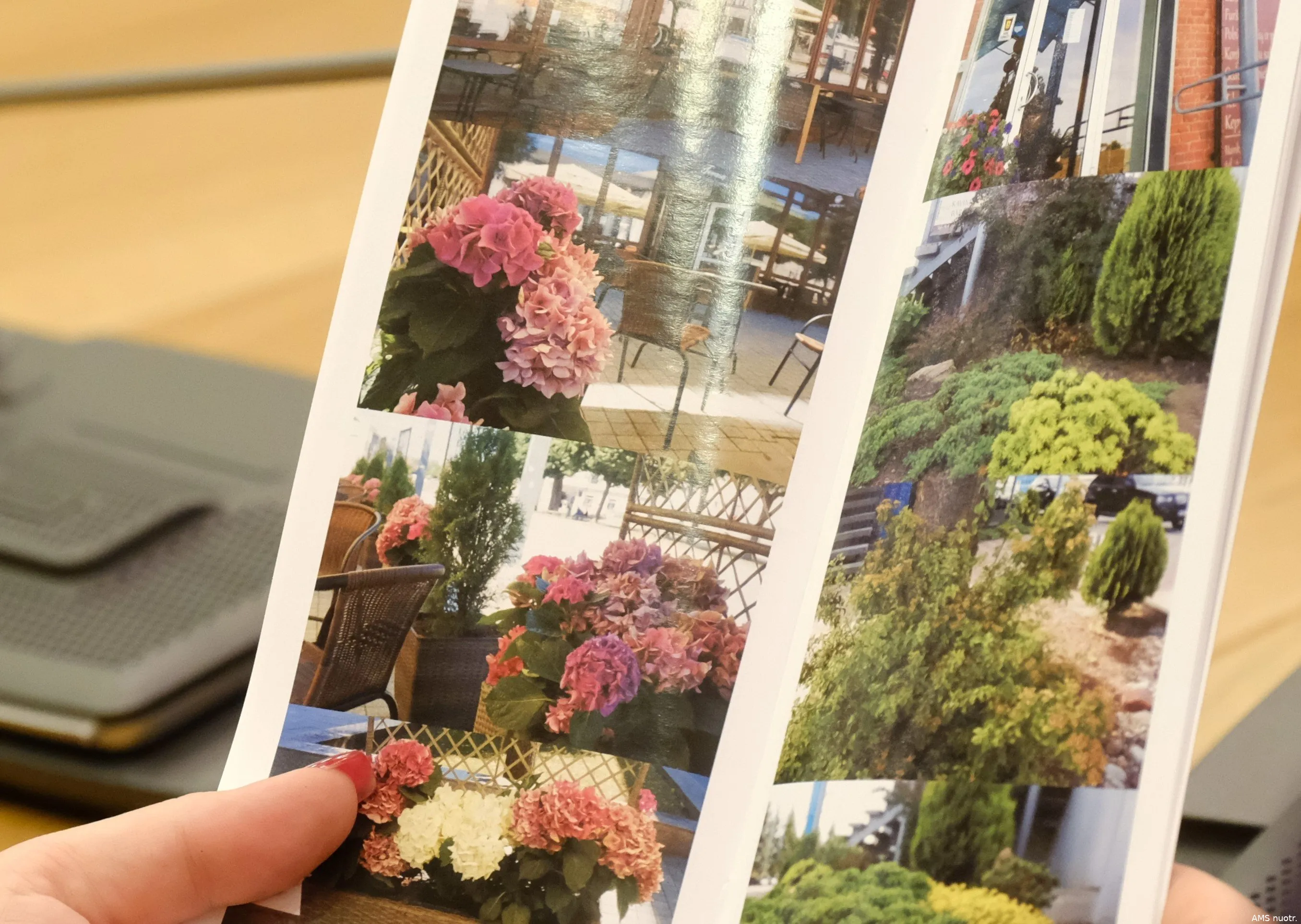 aplinkos konkursas ams nuotrs