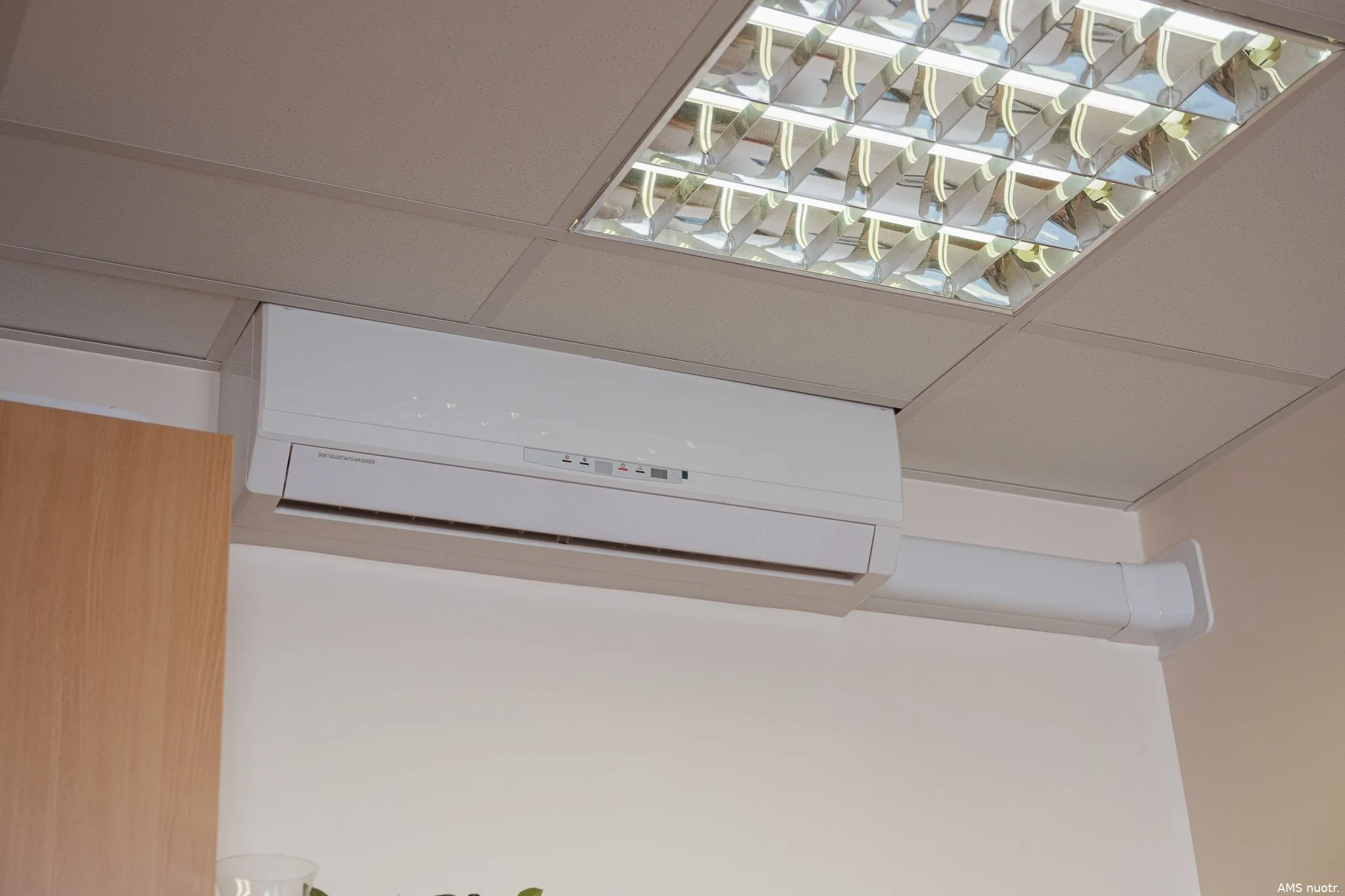 kondicionierius ams nuotr