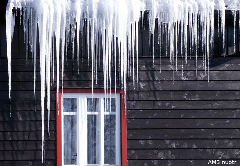 varvekliai ams nuotr