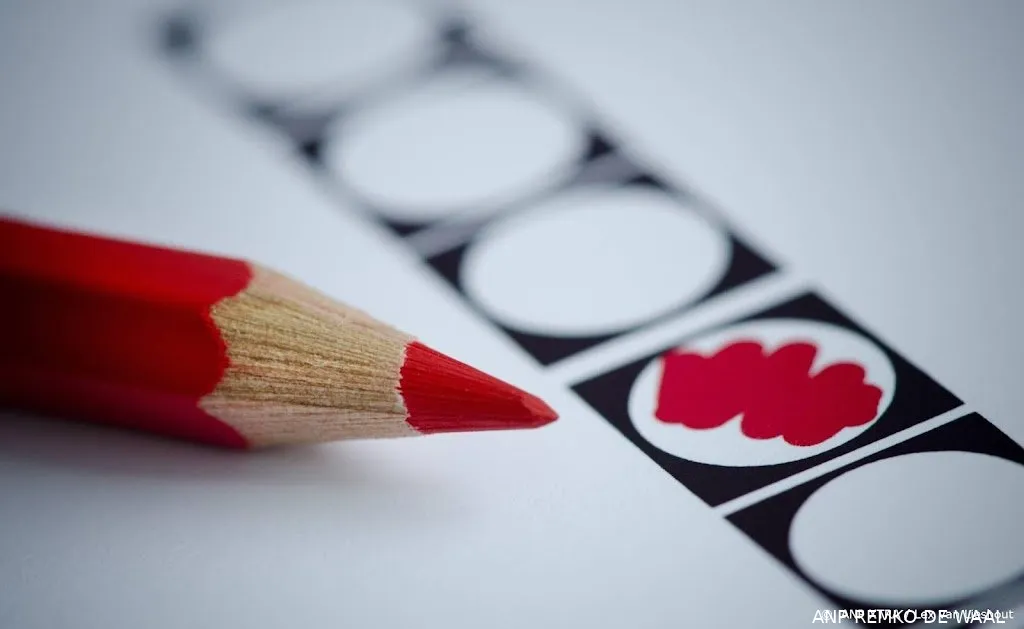 stemwijzer te raadplegen voor gemeenteraadsverkiezingen1644467571