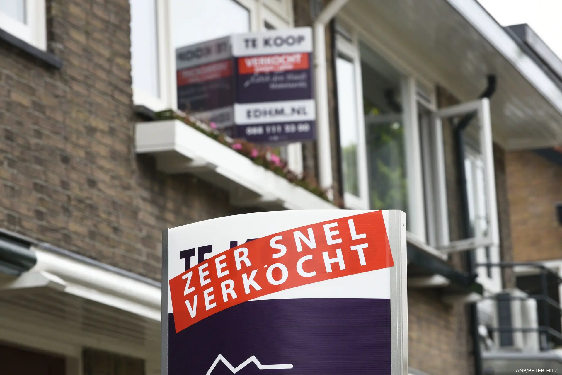 anp 81402640