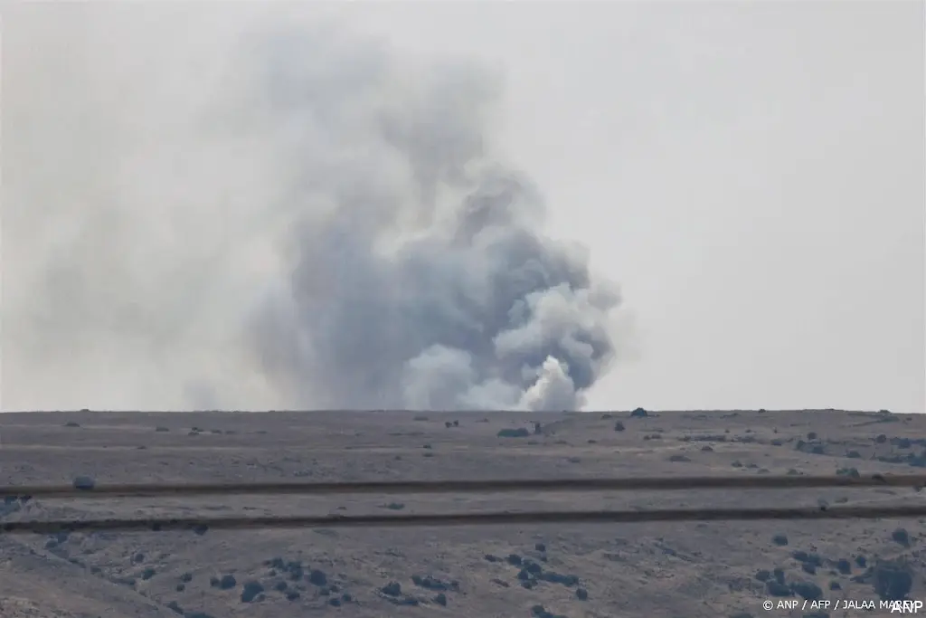 anp040724117 1