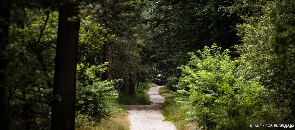 anp010824178 1