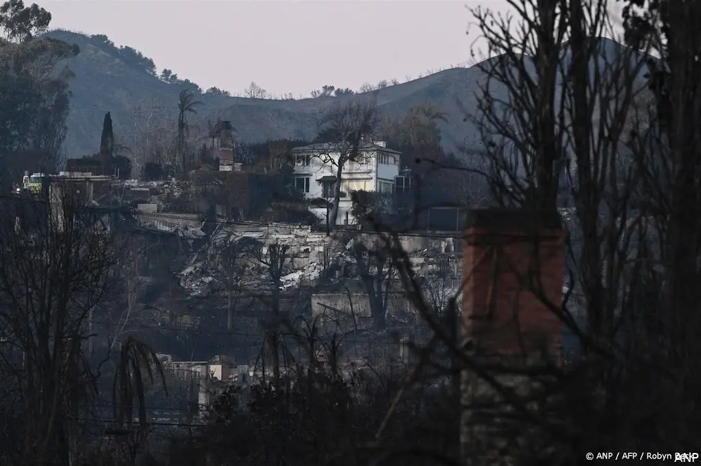 anp190125126 1