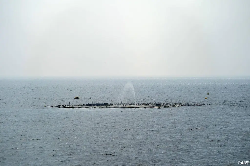anp240925106 1
