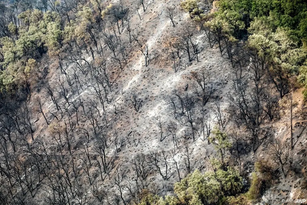 anp031225143 1