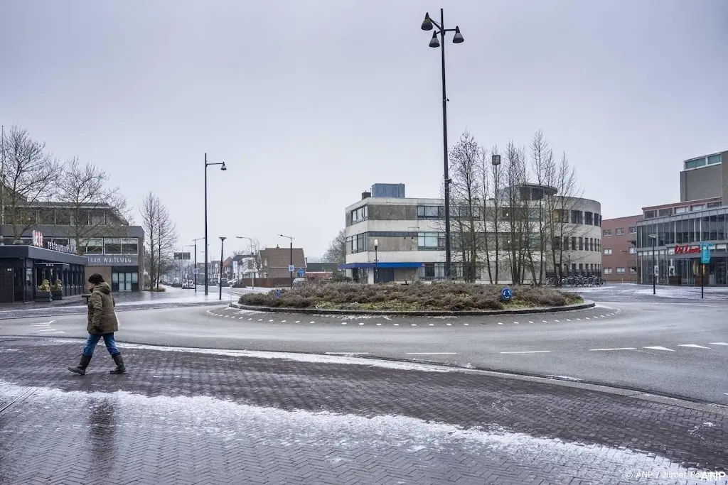 anp040226118 1