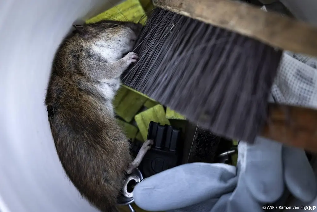 anp130226152 1