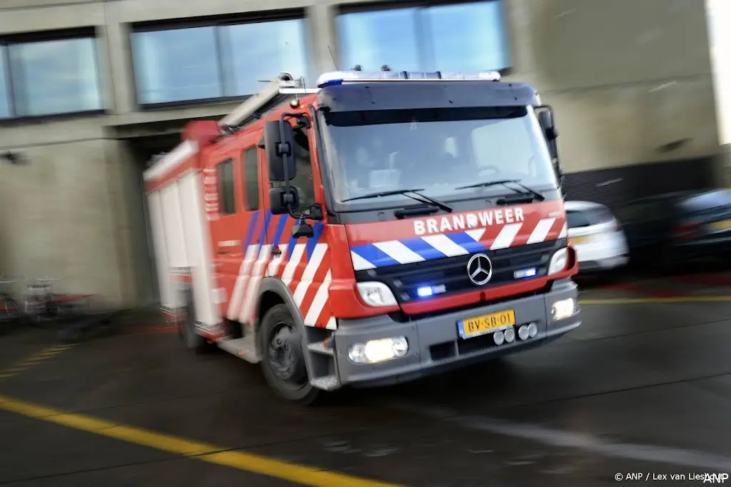 anp270326096 1