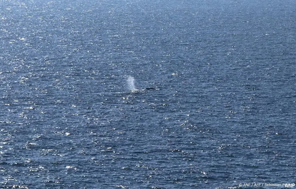 anp150526088 1
