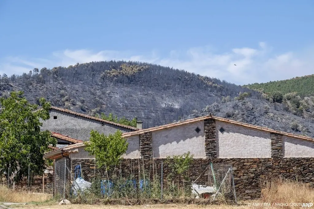 anp230726113 1