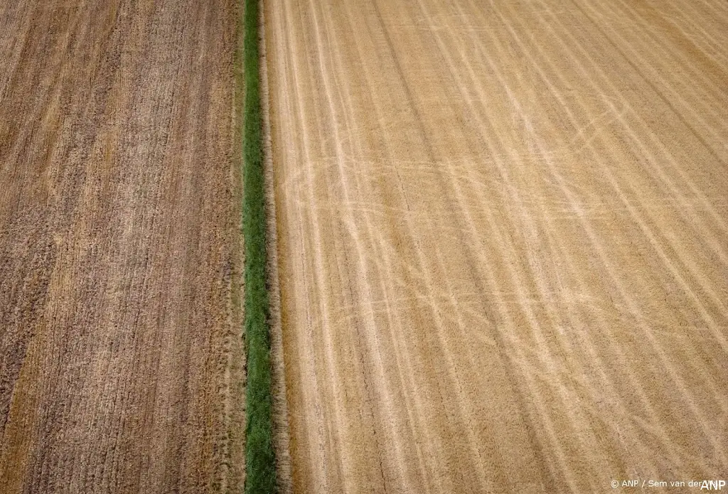 anp120826001 1
