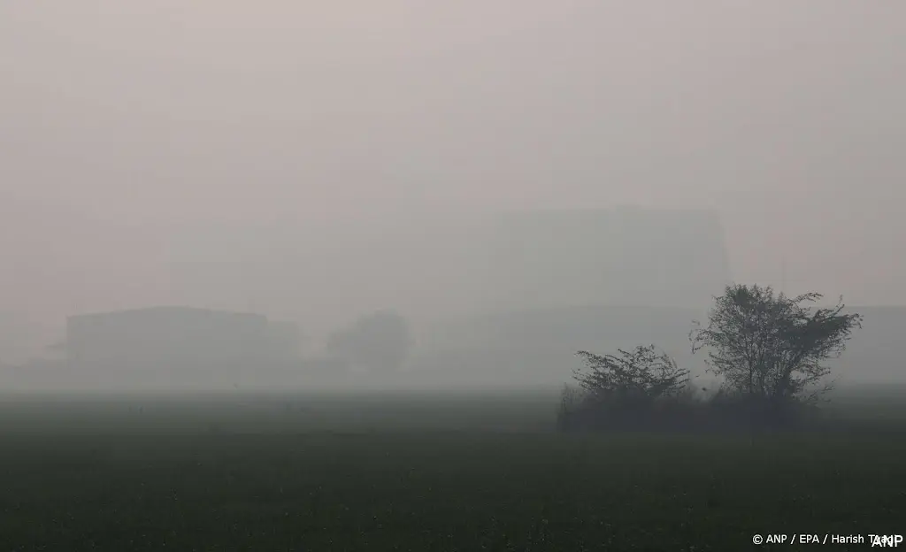 anp130826129 1