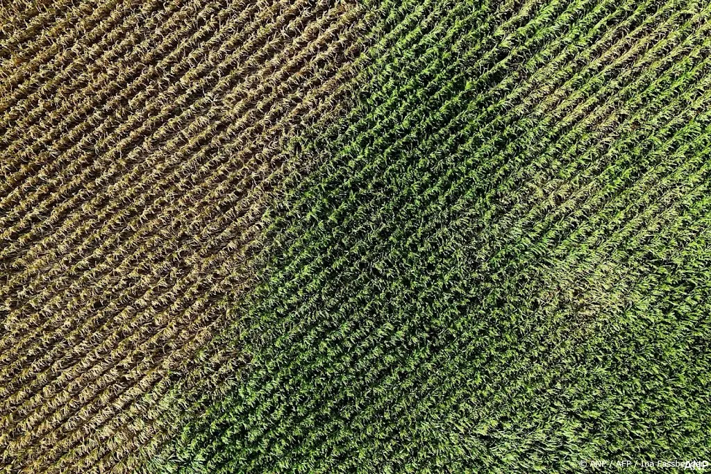 anp180826117 1
