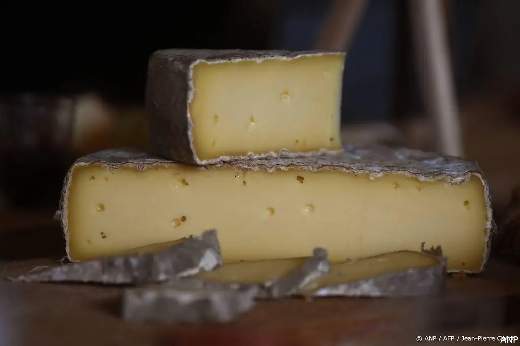 anp260826084 1
