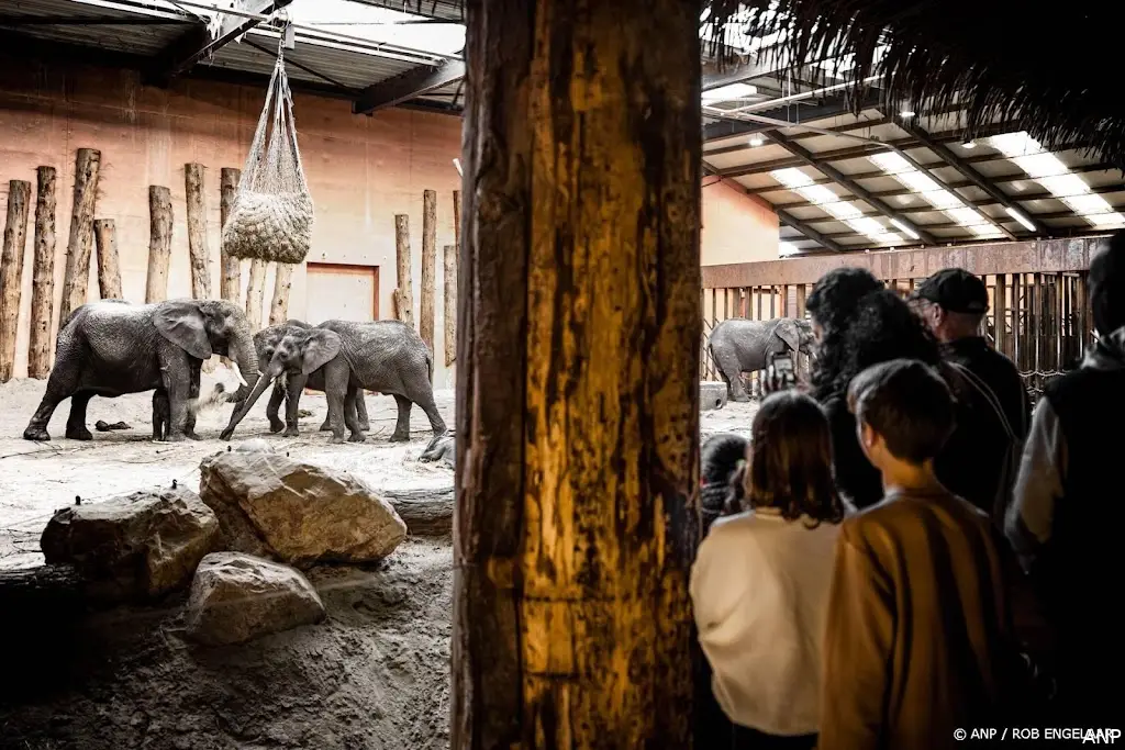 anp121026051 1